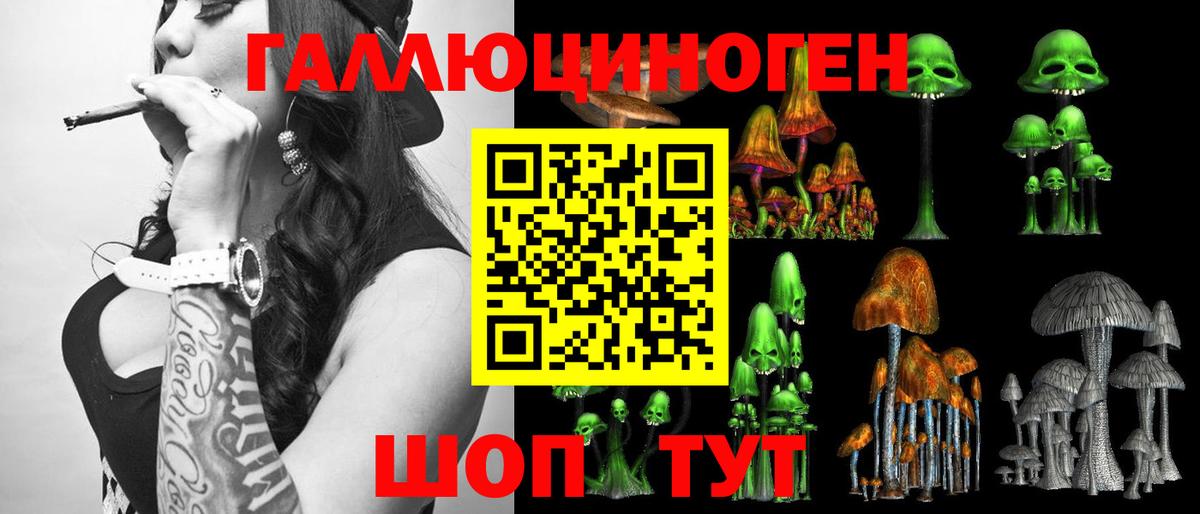 Псилоцибиновые грибы Psilocybe Когалым