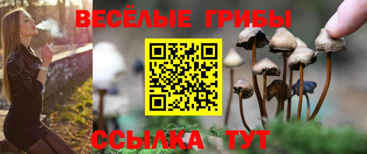 Когалым  Галлюциногенные грибы мицелий  купить   Вход с VPN 